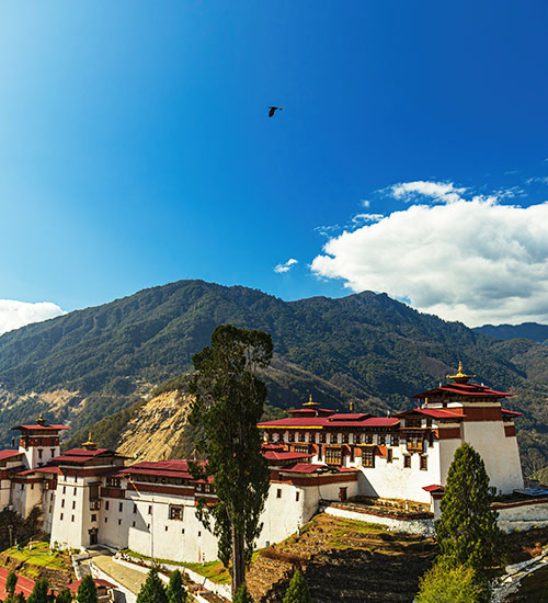 Activities in Bhutan