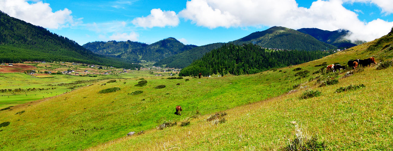 08 Nights / 09 Days Bhutan Tour Package