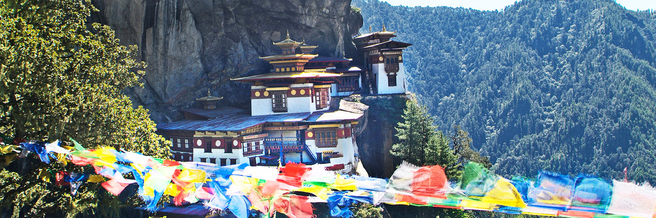 Paro