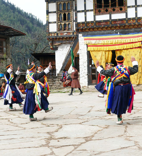 Festival Tours